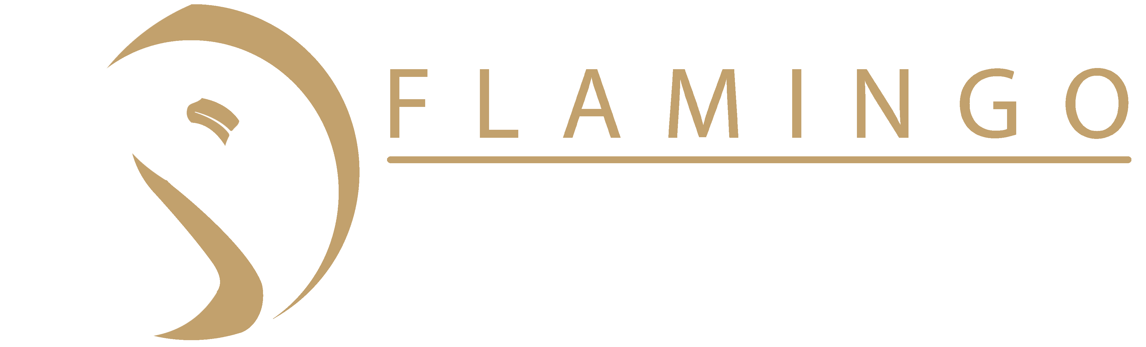 Flamingo Taxi Service Group